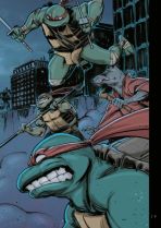 Teenage Mutant Ninja Turtles Splitter Collection # 01