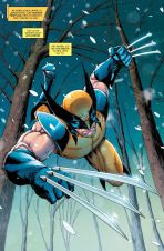 Wolverine: Narben