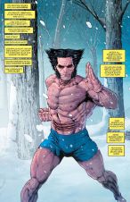 Wolverine: Narben