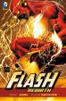 Flash - Rebirth