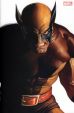 X-Men (Serie ab 2020) # 13 Alex-Ross-Variant